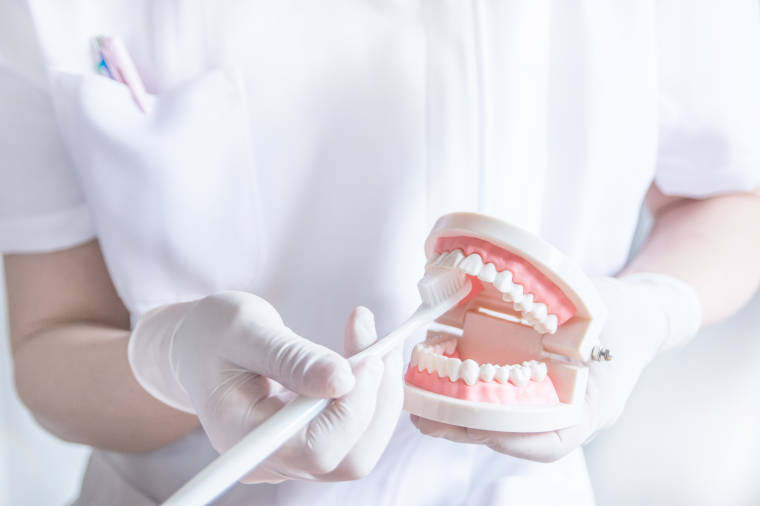 Prophylaxe / Individualprophylaxe in der Zahnarztpraxis Dr. med. dent. Uta Löffler in Zittau